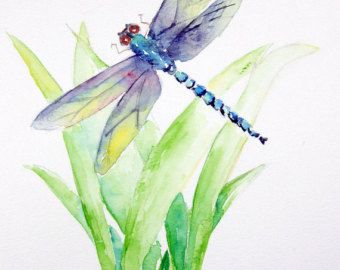 dragonflyandgrass